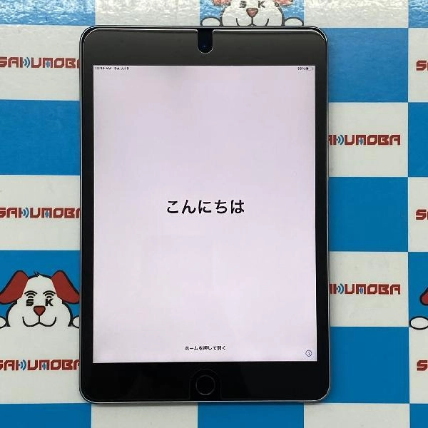 iPad mini 第4世代 Wi-Fiモデル 128GB MK9N2J/A A1538 極美品 スペースグレイ