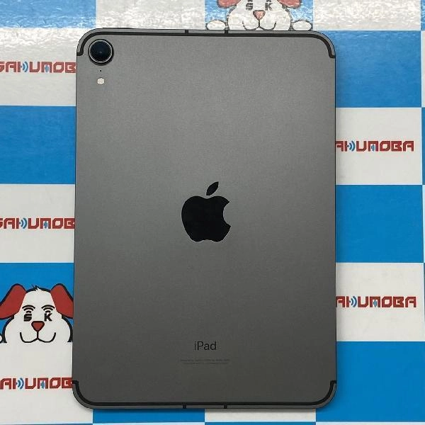 iPad mini 第6世代 Apple版SIMフリー 256GB MK8F3J/A A2568 極美品
