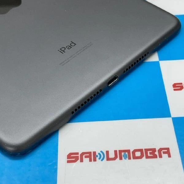 iPad mini 第5世代 Apple版SIMフリー 256GB MUXC2ZP/A A2124 ジャンク品 スペースグレイ