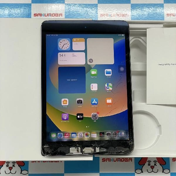 iPad mini 第5世代 Apple版SIMフリー 256GB MUXC2ZP/A A2124 ジャンク品 スペースグレイ