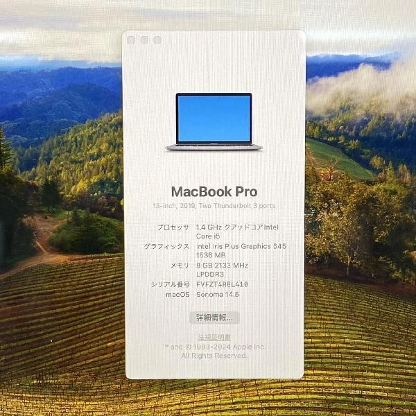 MacBook Pro 13インチ 2019 Thunderbolt 3ポートx 2  8GB 256GB MUHP2JA/A USキーボード スペースグレイ
