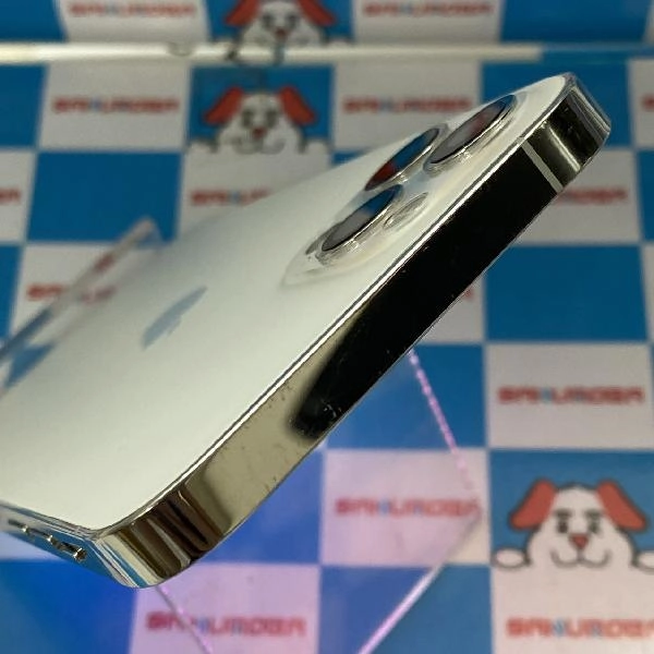 iPhone12 Pro docomo版SIMフリー 128GB MGM63J/A A2406 ジャンク品 シルバー