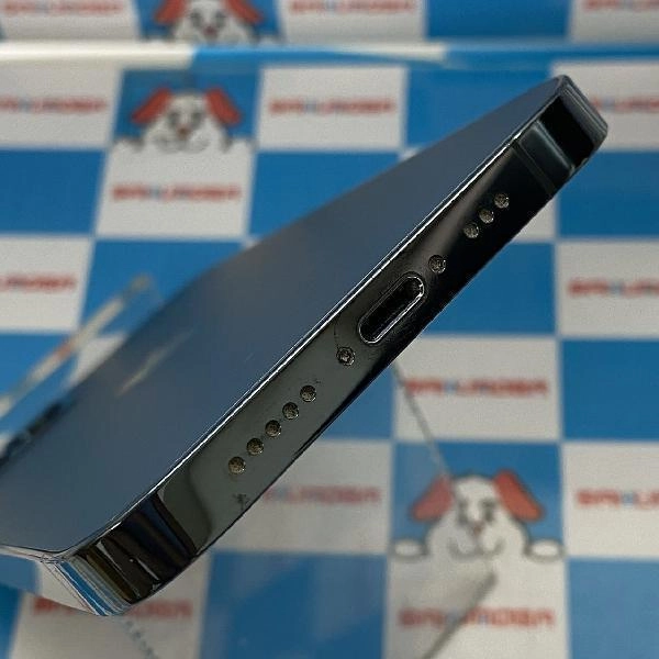 iPhone12 Pro docomo版SIMフリー 128GB MGM83J/A A2406 ジャンク品 パシフィックブルー