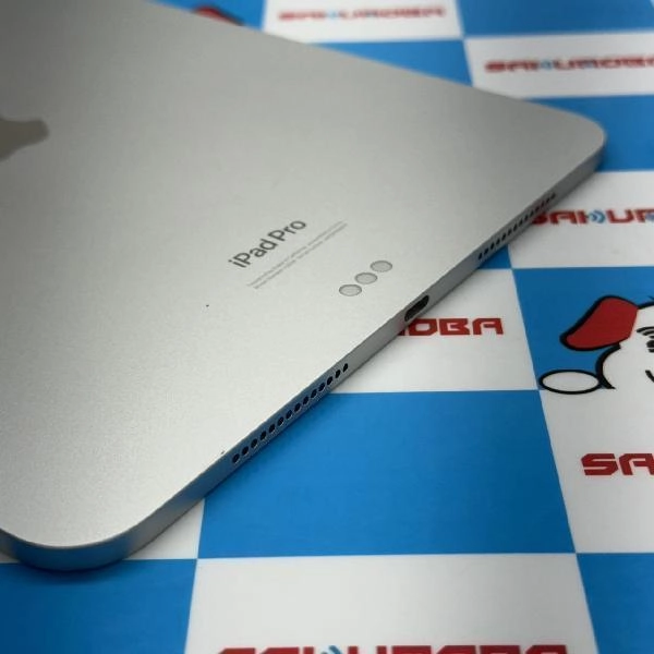 iPad Pro 11インチ 第5世代 Wi-Fiモデル 1TB MVVF3J/A A2836 極美品