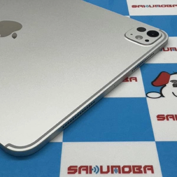 iPad Pro 11インチ 第5世代 Wi-Fiモデル 1TB MVVF3J/A A2836 極美品