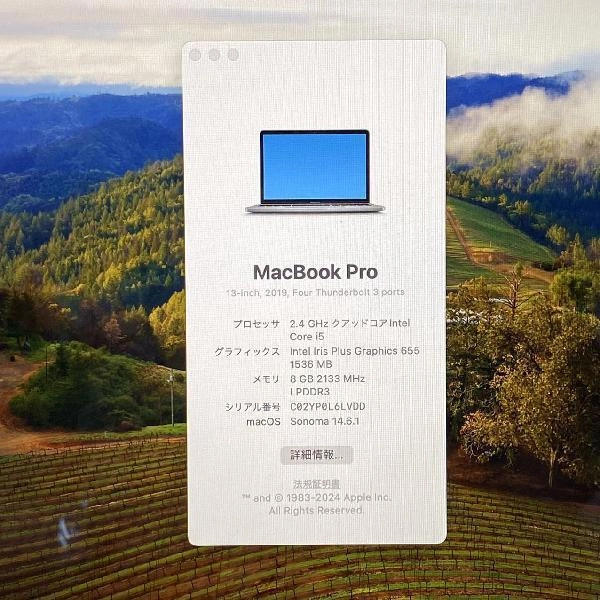 MacBook Pro 13インチ 2019 Thunderbolt 3ポートx 4  8GB 512GB MV972J/A スペースグレイ