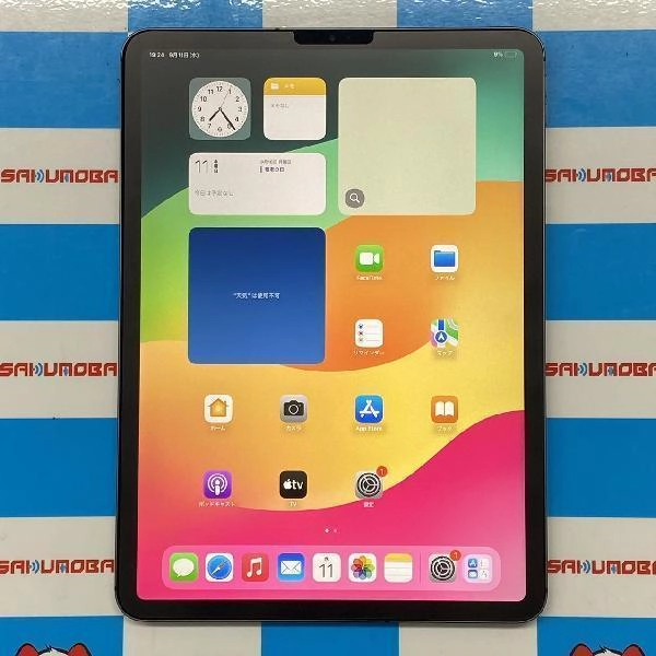 iPad Pro 11インチ 第1世代 docomo版SIMフリー 256GB MU102J/A A1934 極美品 スペースグレイ