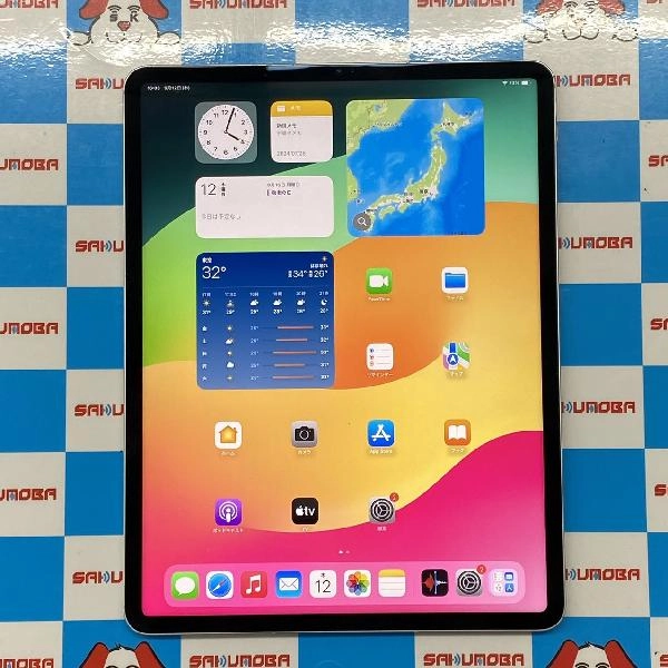 iPad Pro 12.9インチ 第5世代 Apple版SIMフリー 1TB MHRC3J/A A2461 極美品 シルバー