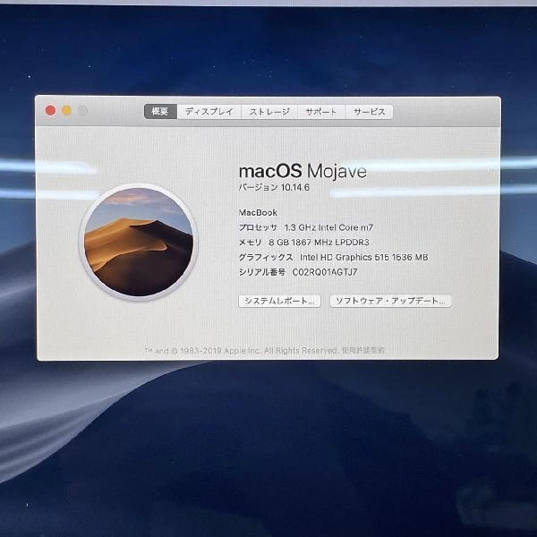 Macbook Retina 12インチ Early 2016  8GB 256GB A1534 シルバー