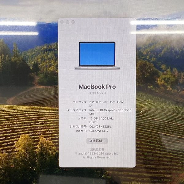 MacBook Pro 15インチ 2018  16GB 256GB A1990 極美品 シルバー
