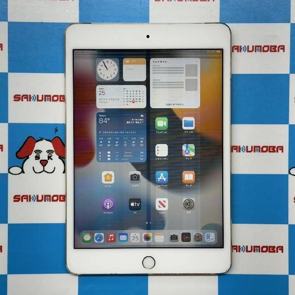 iPad mini 第4世代 docomo版SIMフリー 32GB MNWG2J/A A1550 ジャンク品 ゴールド