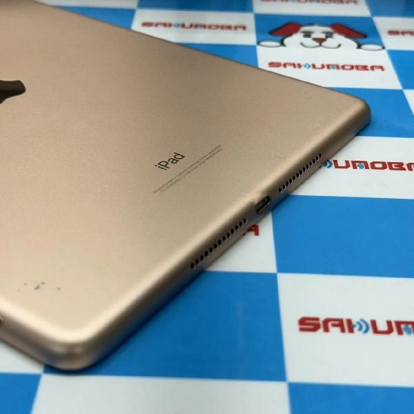 iPad 第6世代 docomo版SIMフリー 32GB MRM02J/A A1954 訳あり品