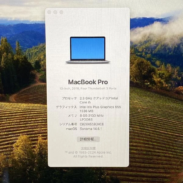 MacBook Pro 13インチ 2018  8GB 256GB A1989 スペースグレイ