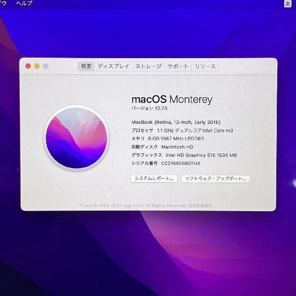 Macbook Retina 12インチ Early 2016  8GB 256GB A1534 美品 シルバー