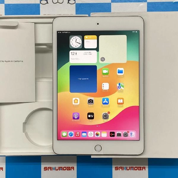 iPad mini 第5世代 au版SIMフリー 256GB MUXD2J/A A2124 極美品 シルバー
