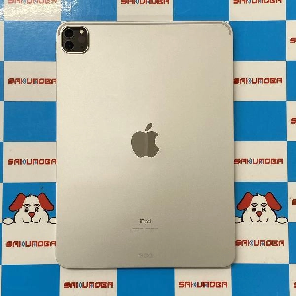 iPad Pro 11インチ 第2世代 Wi-Fiモデル 256GB MXDD2J/A A2228 極美品 シルバー
