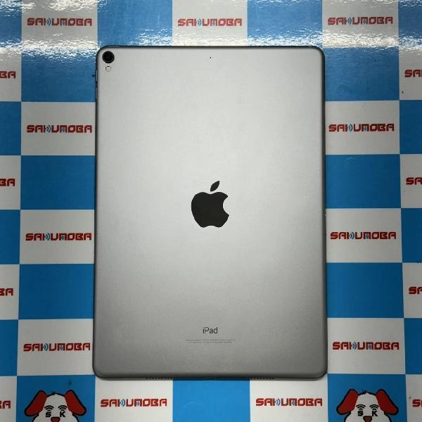 iPad Pro 10.5インチ Wi-Fiモデル 256GB MPDY2J/A A1701 訳あり品 スペースグレイ