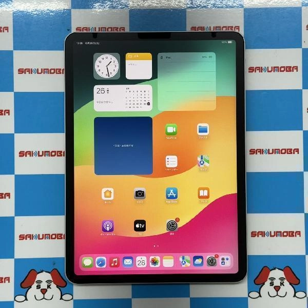 iPad Pro 11インチ 第2世代 Wi-Fiモデル 128GB NY252J/A A2228 極美品 シルバー