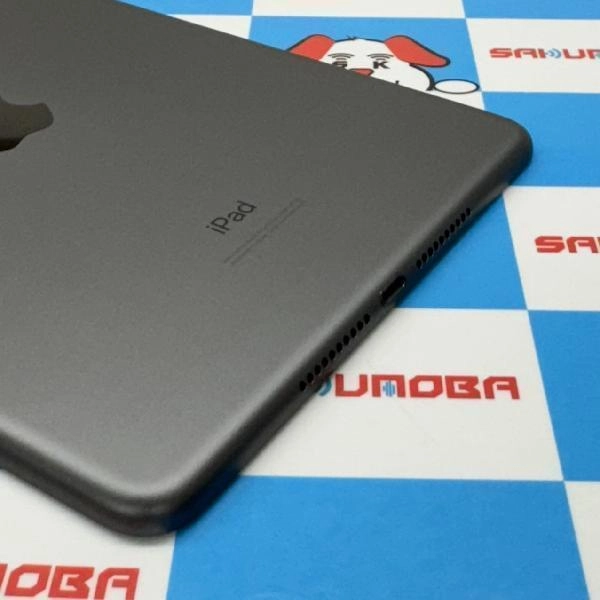 iPad mini 第5世代 Wi-Fiモデル 64GB MUQW2J/A A2133 極美品 スペースグレイ
