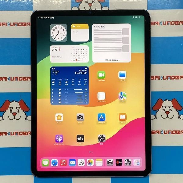 iPad Pro 11インチ 第1世代 Wi-Fiモデル 256GB MTXQ2J/A A1980 スペースグレイ