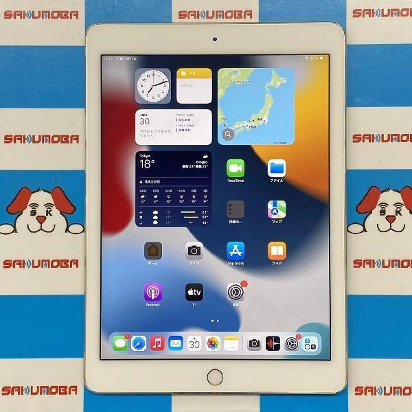 iPad Air 第2世代 Wi-Fiモデル 64GB MH182J/A A1566 ゴールド