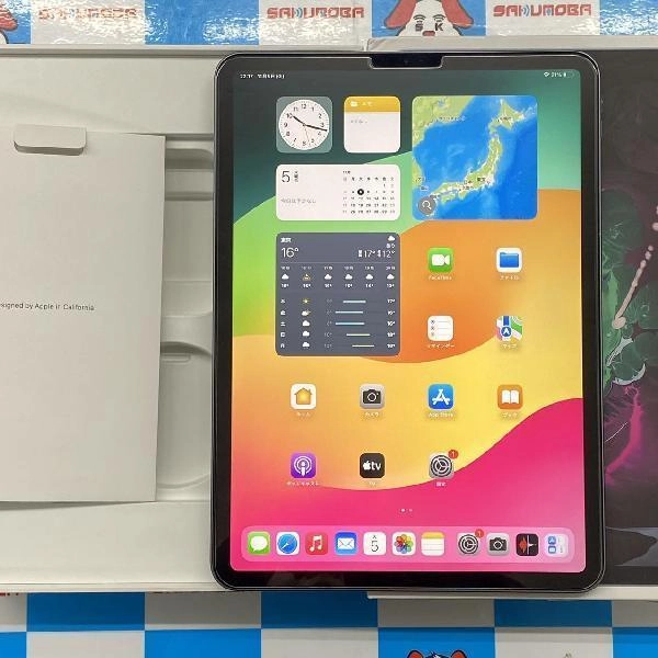 iPad Pro 11インチ 第1世代 Wi-Fiモデル 256GB MTXQ2J/A A1980 極美品 スペースグレイ