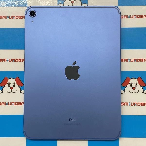 iPad 第10世代 SoftBank版SIMフリー 64GB MQ6K3J/A A2757 美品 ブルー