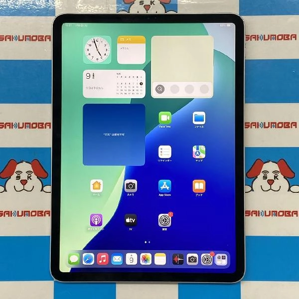 iPad Pro 11インチ 第1世代 Wi-Fiモデル 512GB MTXU2J/A A1980 美品 シルバー