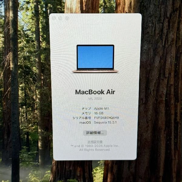 MacBook Air Retina 13インチ 2020 256GB A2337 ゴールド
