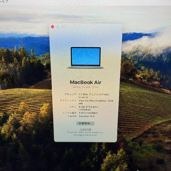 MacBook Air Retina 13インチ 2020 256GB A2179 極美品 スペースグレイ