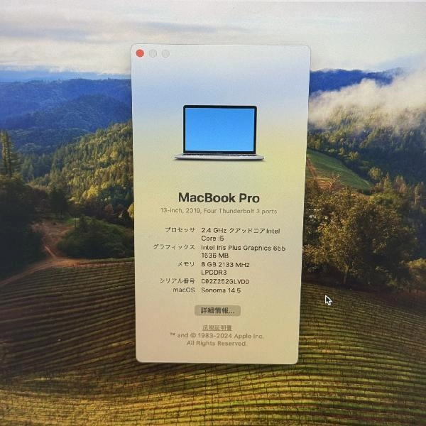 MacBook Pro 13インチ 2019 Thunderbolt 3ポートx 4 8GB 512GB A1989 極美品 スペースグレイ
