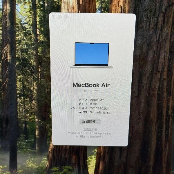 MacBook Air M2 2022 256GB MLXY3J/A A2681 極美品 シルバー