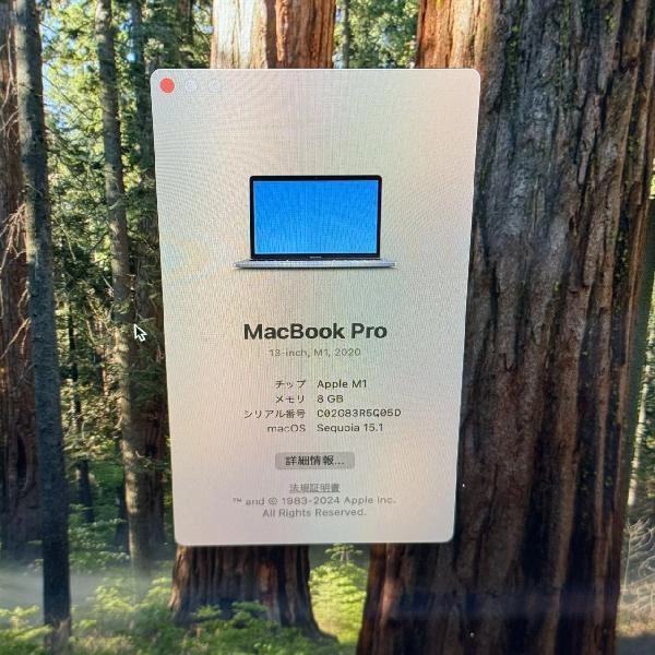 MacBook Pro 13インチ M1 2020 8GB 256GB MYD82J/A A2338 スターライト