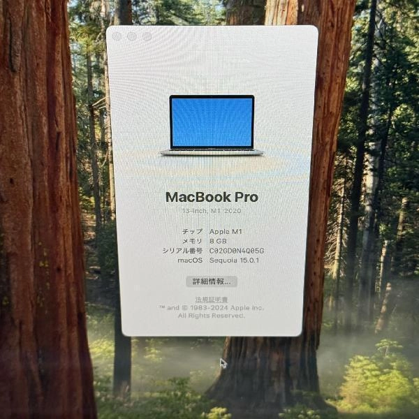 MacBook Pro 13インチ M1 2020 256GB MYDA2J/A A2338 極美品 シルバー