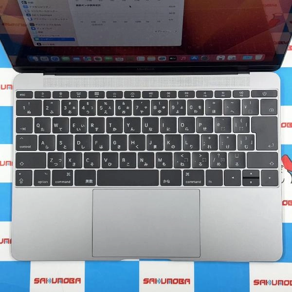 Macbook Retina 12インチ 2017 256GB FNYF2J/A A1534 極美品 スペースグレイ