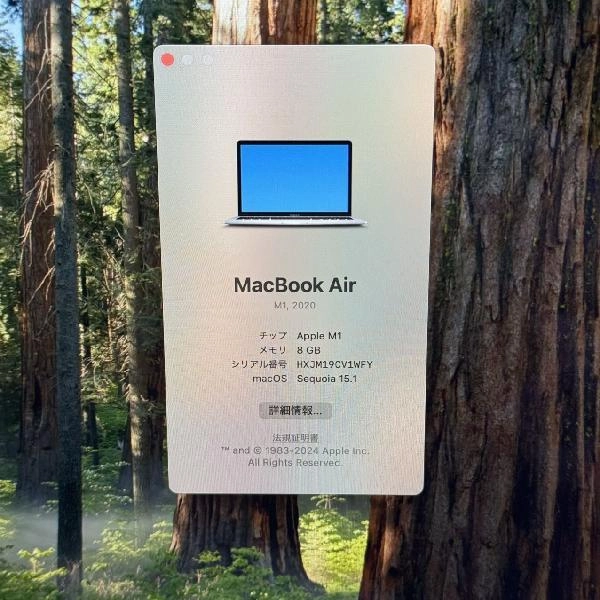 MacBook Air Retina 13インチ 2020 256GB MGN93J/A A2337 極美品 シルバー