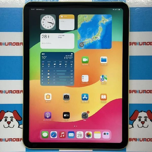 iPad 第10世代 Wi-Fiモデル 256GB PPQA3J/A A2696 訳あり美品