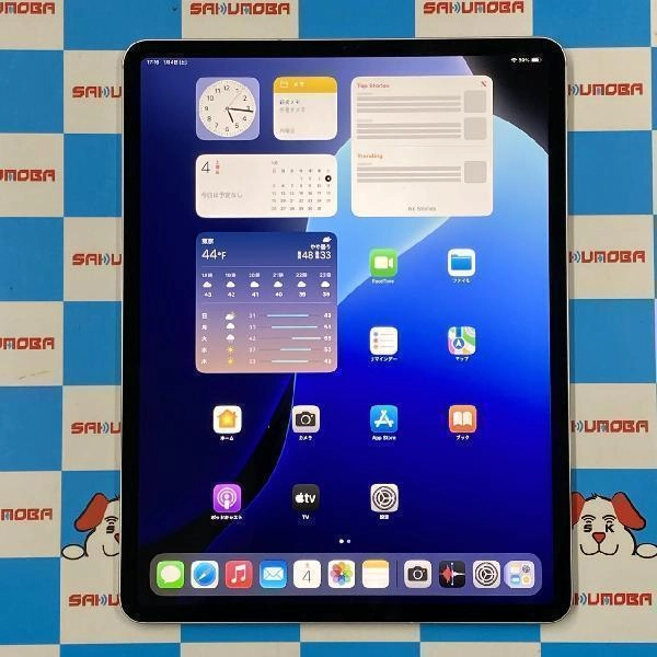 iPad Pro 12.9インチ 第3世代 Apple版SIMフリー 256GB MTJ62J/A A1895 極美品 シルバー