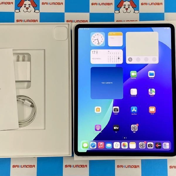 iPad Pro 12.9インチ 第5世代 Wi-Fiモデル 1TB NHNN3J/A A2378 極美品 シルバー