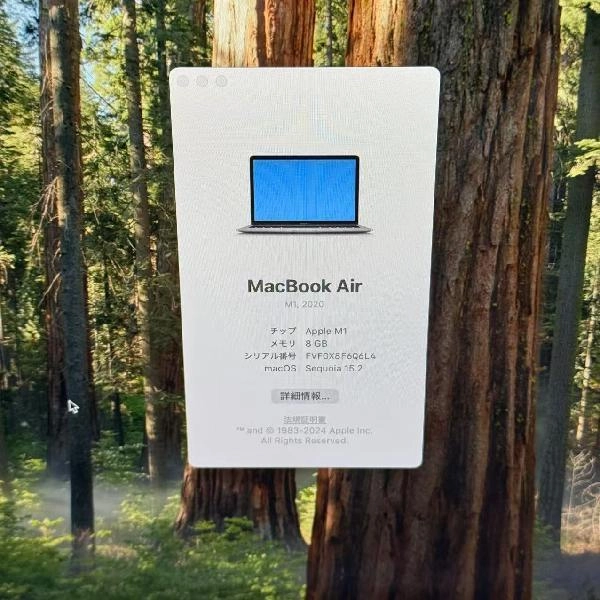 MacBook Air M1 2020 256GB MGN63J/A A2337 極美品 スペースグレイ