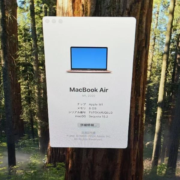 MacBook Air M1 2020 512GB MGNE3J/A A2337 極美品 No 商品カラー