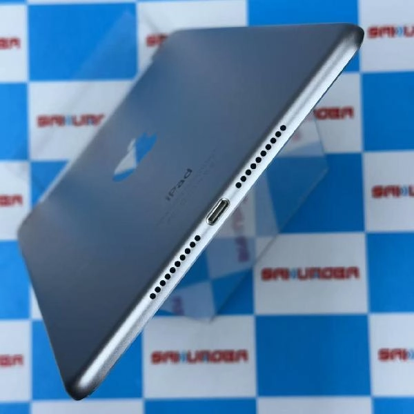 iPad mini 第4世代 docomo版SIMフリー 16GB MK702J/A A1550 極美品 シルバー