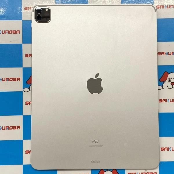 iPad Pro 12.9インチ 第5世代 Wi-Fiモデル 256GB MHNJ3J/A A2378 美品 シルバー