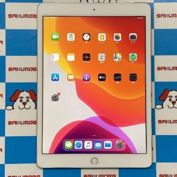 iPad 第7世代 docomo版SIMフリー 32GB MW6C2J/A A2198