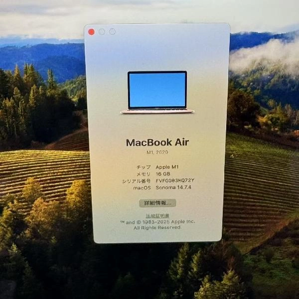 MacBook Air M1 2020 1TB MGQP3J/A A2337 ゴールド