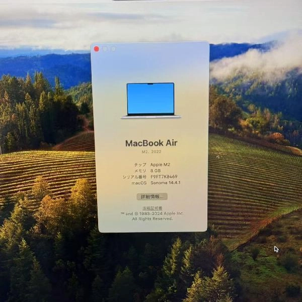 MacBook Air M2 2022 256GB MLXW3J/A A2681 美品 スペースグレイ