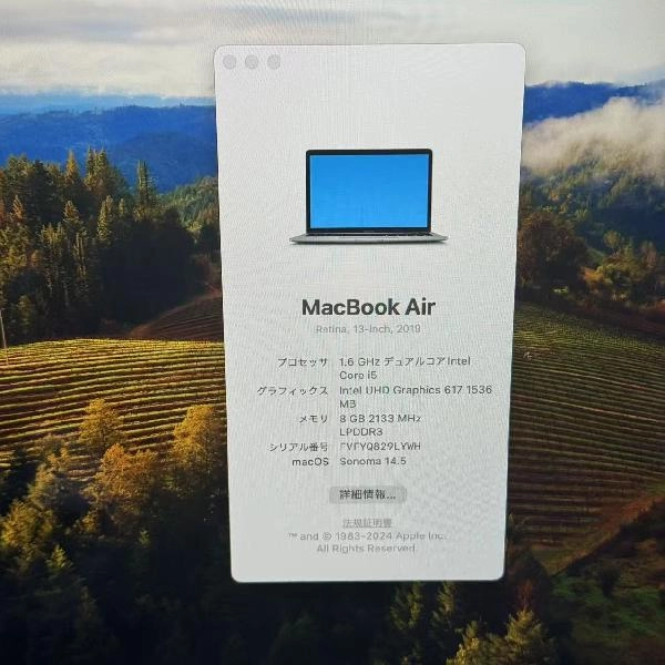 MacBook Air Retina 13インチ 2019 256GB MVFJ2J/A A1932 スペースグレイ