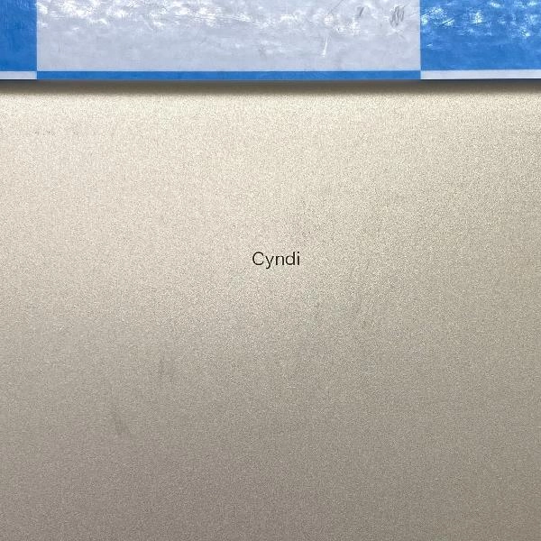 iPad Air 第2世代 Wi-Fiモデル 32GB MNV72J/A A1566 訳あり品 ゴールド