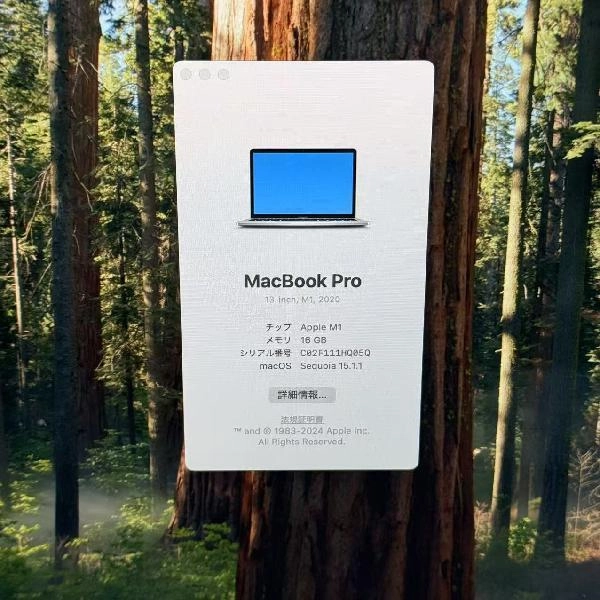 MacBook Pro 13インチ M1 2020 256GB A2338 シルバー
