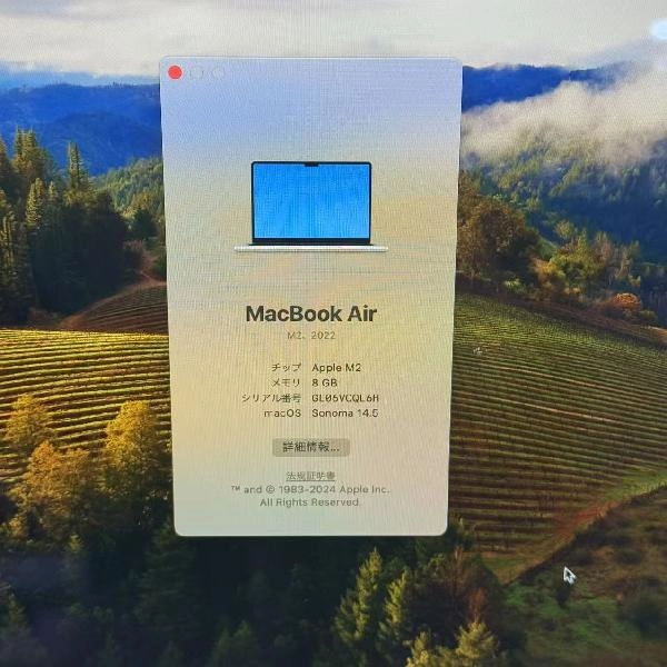 MacBook Air M2 2022 256GB MLY13J/A A2681 スターライト